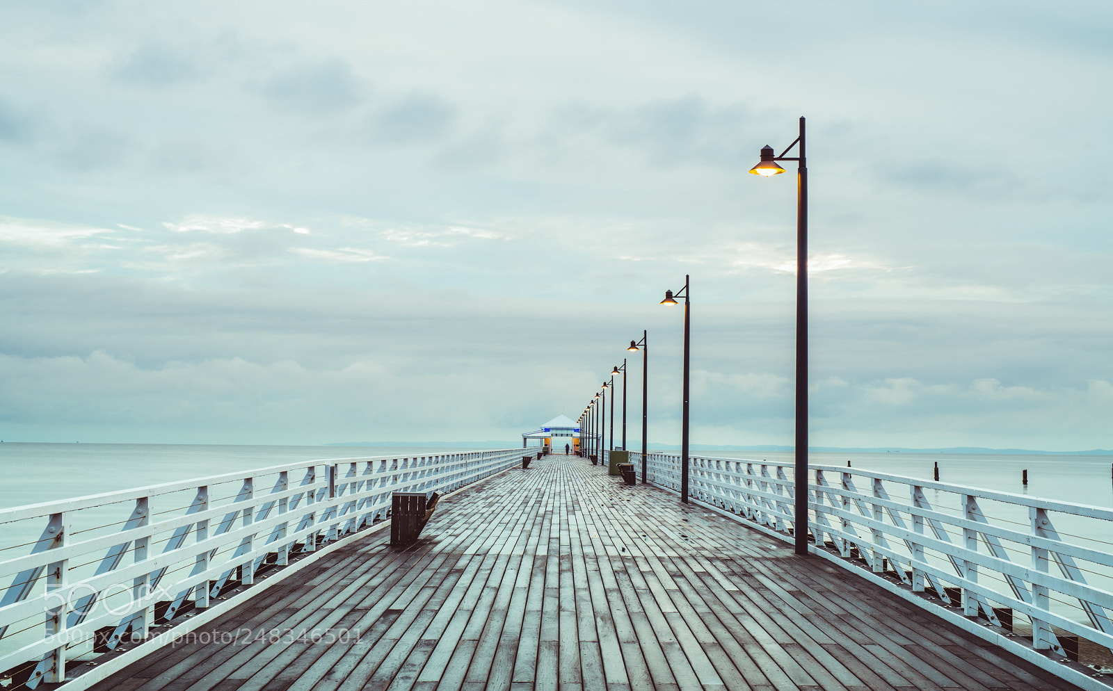 Nikon D850 sample photo. Gloomy walk photography