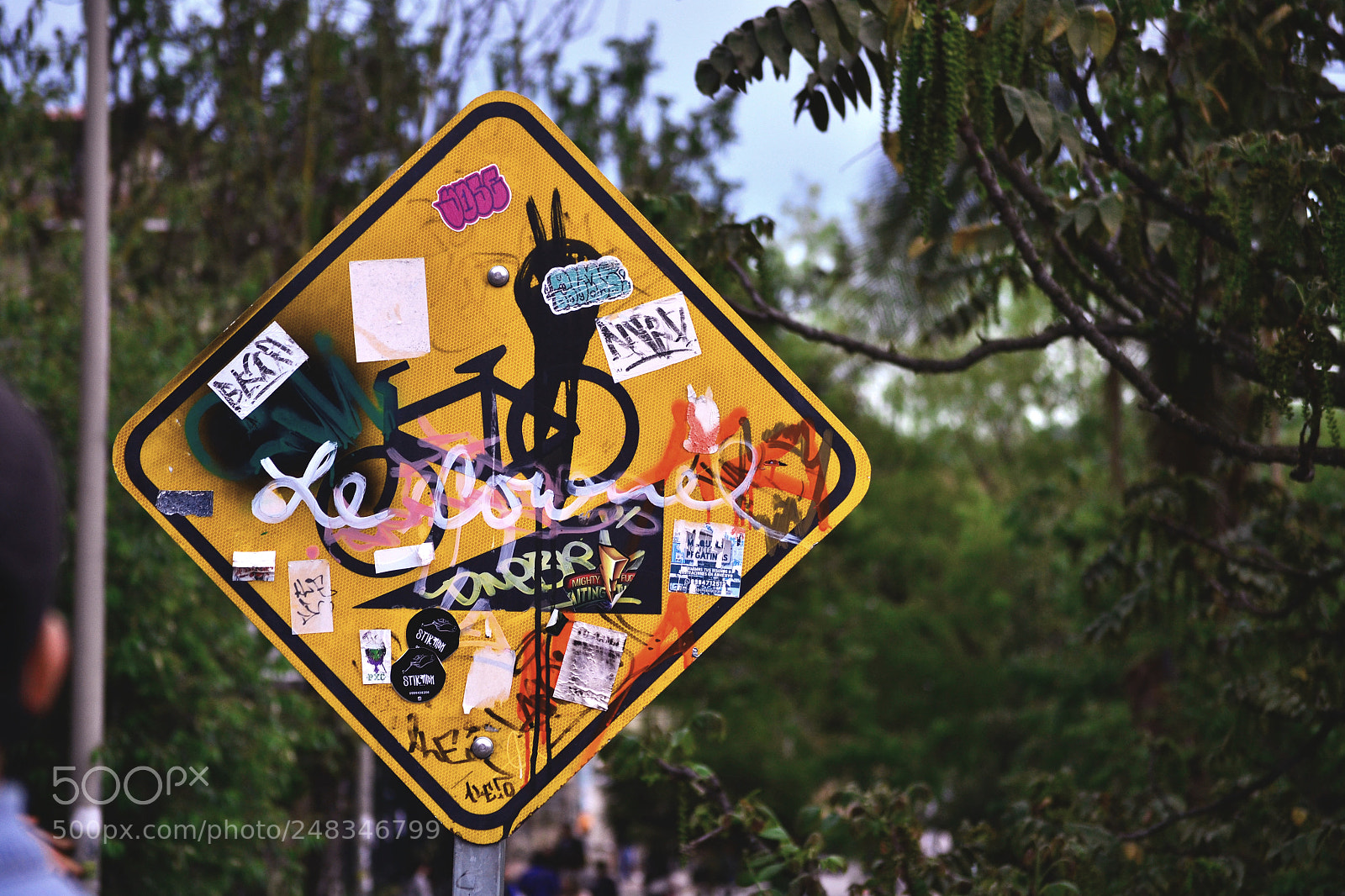 Nikon D3100 sample photo. Untitled photography