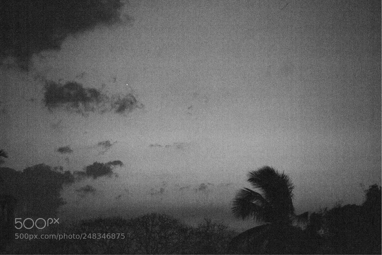 Nikon D3100 sample photo. Venus still sunset photography