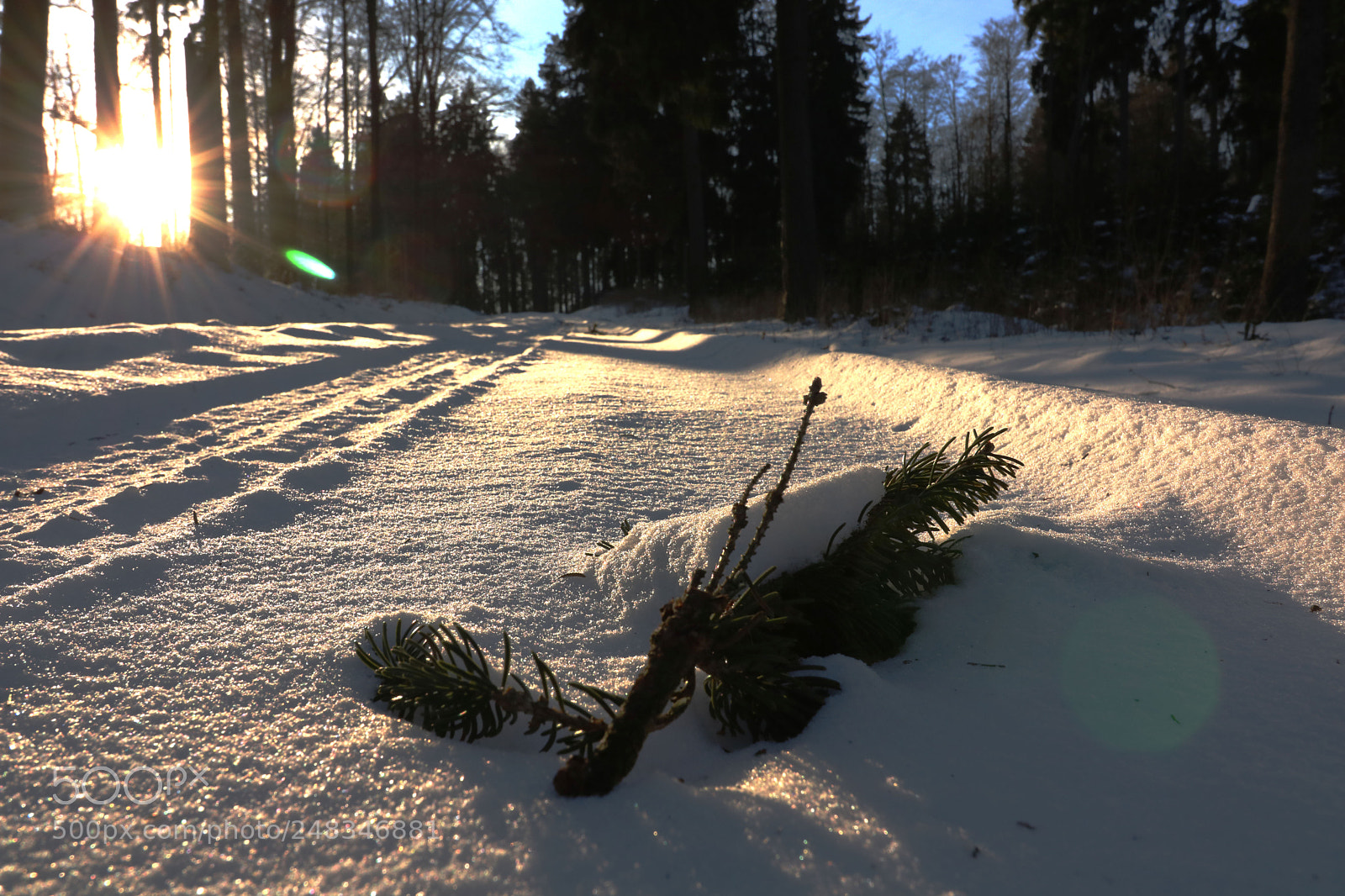 Canon EOS 750D (EOS Rebel T6i / EOS Kiss X8i) sample photo. Sunny winter evening in photography