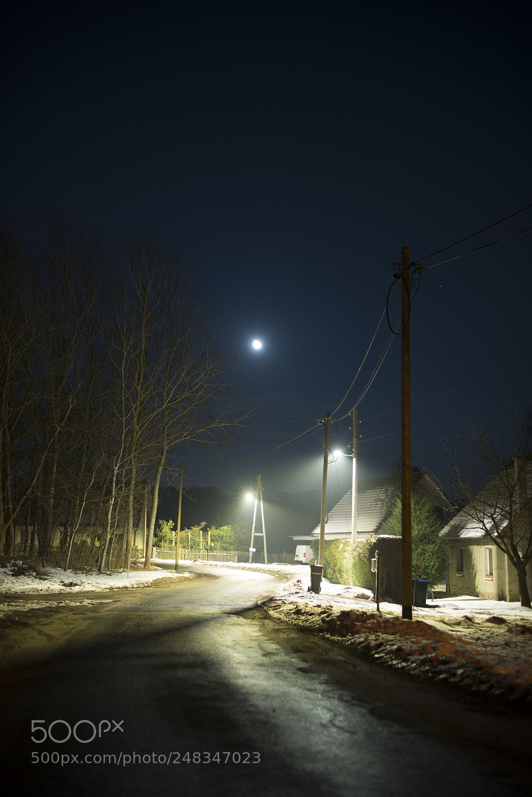 Nikon D800E sample photo. Moonlit night street scene photography