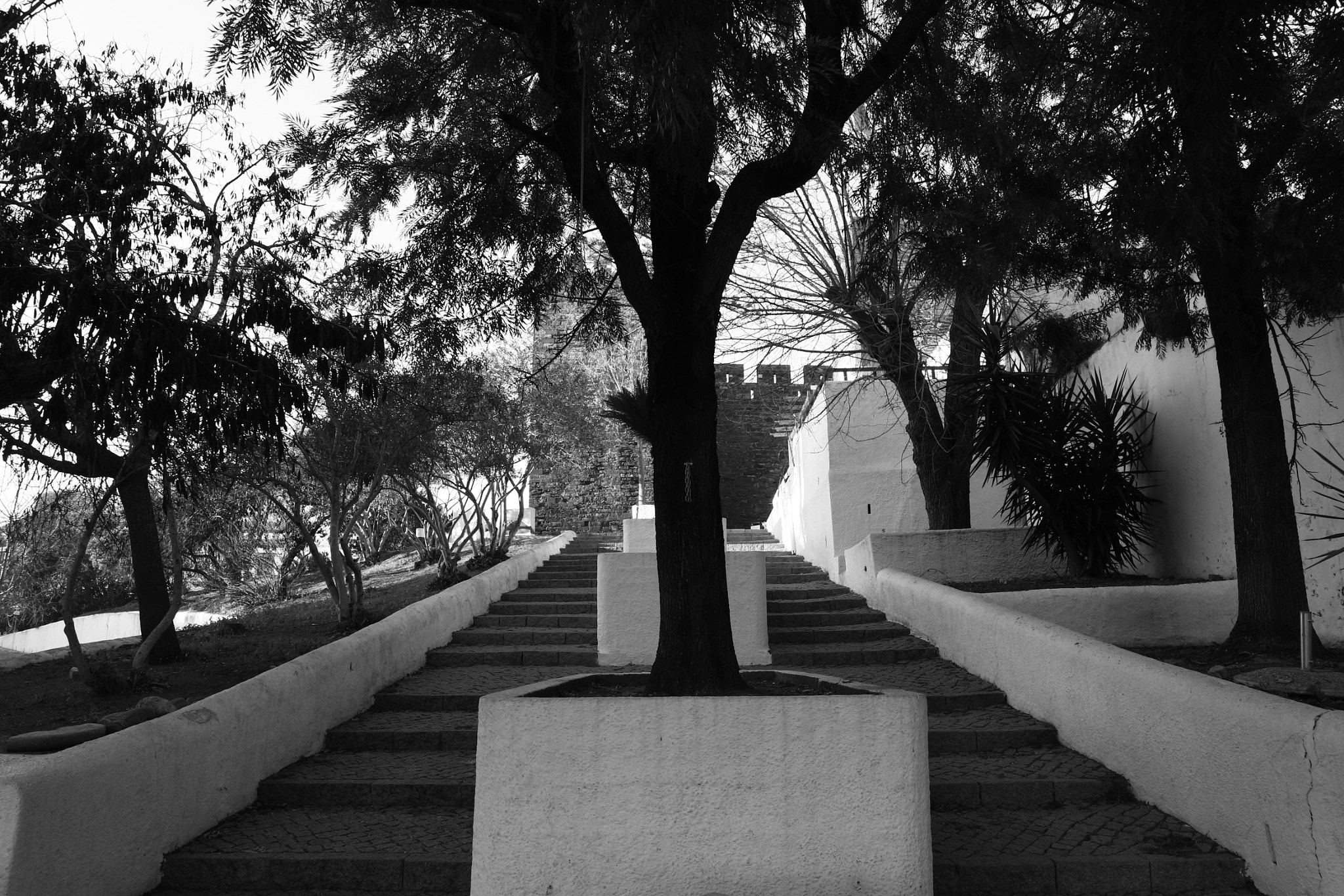 Canon EOS M10 sample photo. Perspectiva b/white photography