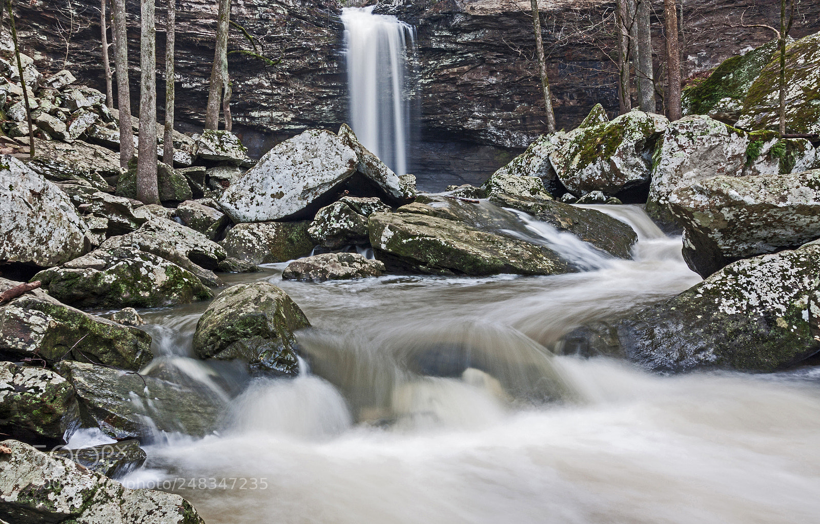 Canon EOS 50D sample photo. Cedar falls photography