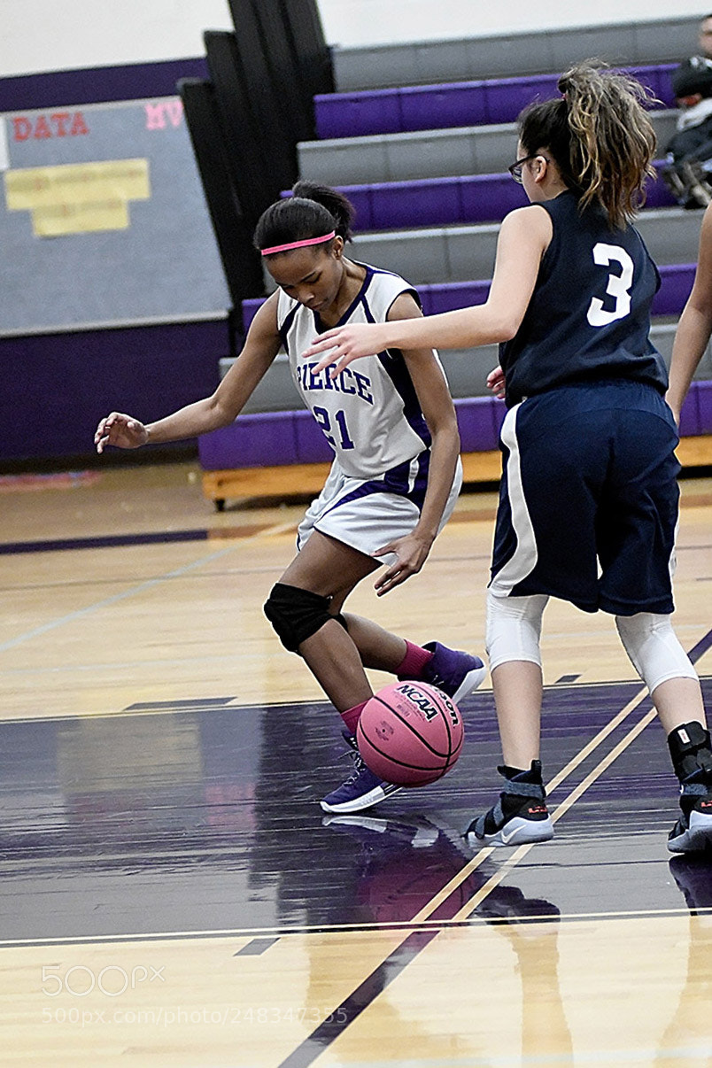 Nikon D500 sample photo. 2-27_0911.jpg photography