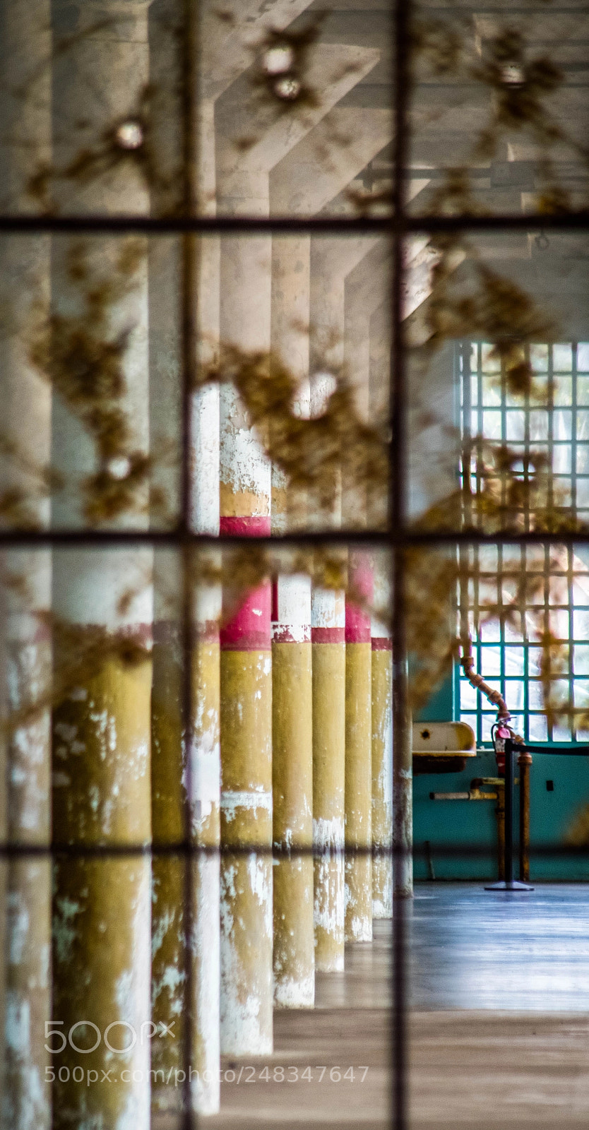 Pentax K-S2 sample photo. Pillars through broken window photography