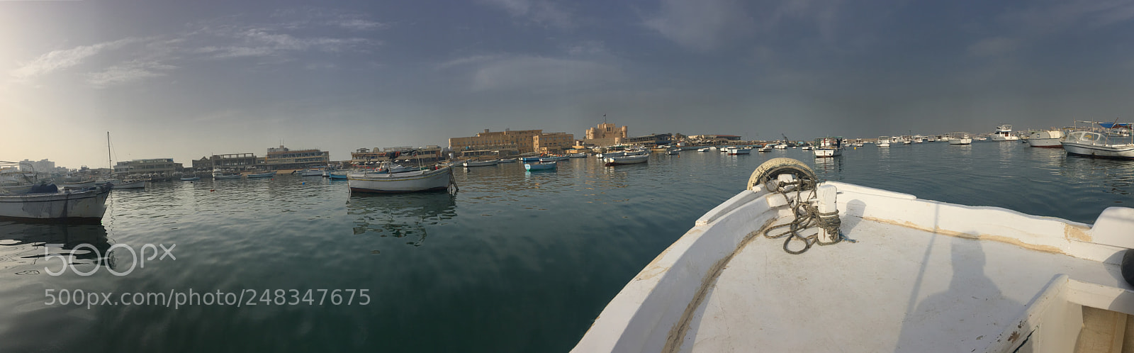 Apple iPhone 6s sample photo. Untitled photography