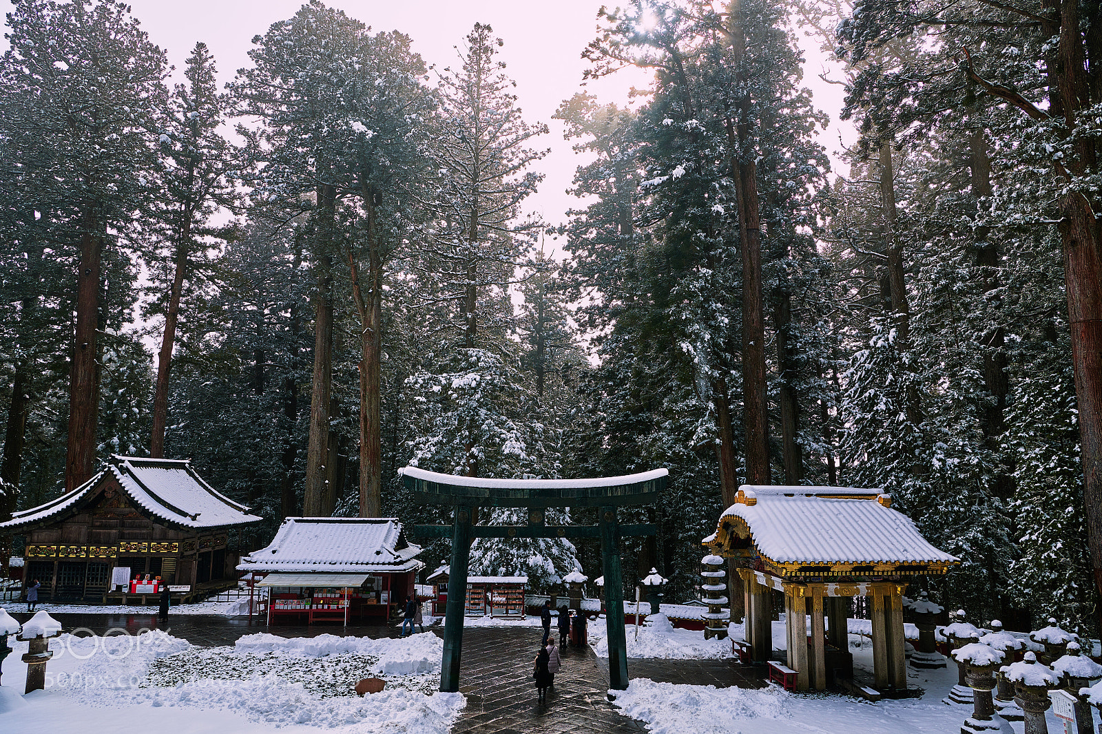 Nikon D850 sample photo. In the quiet photography