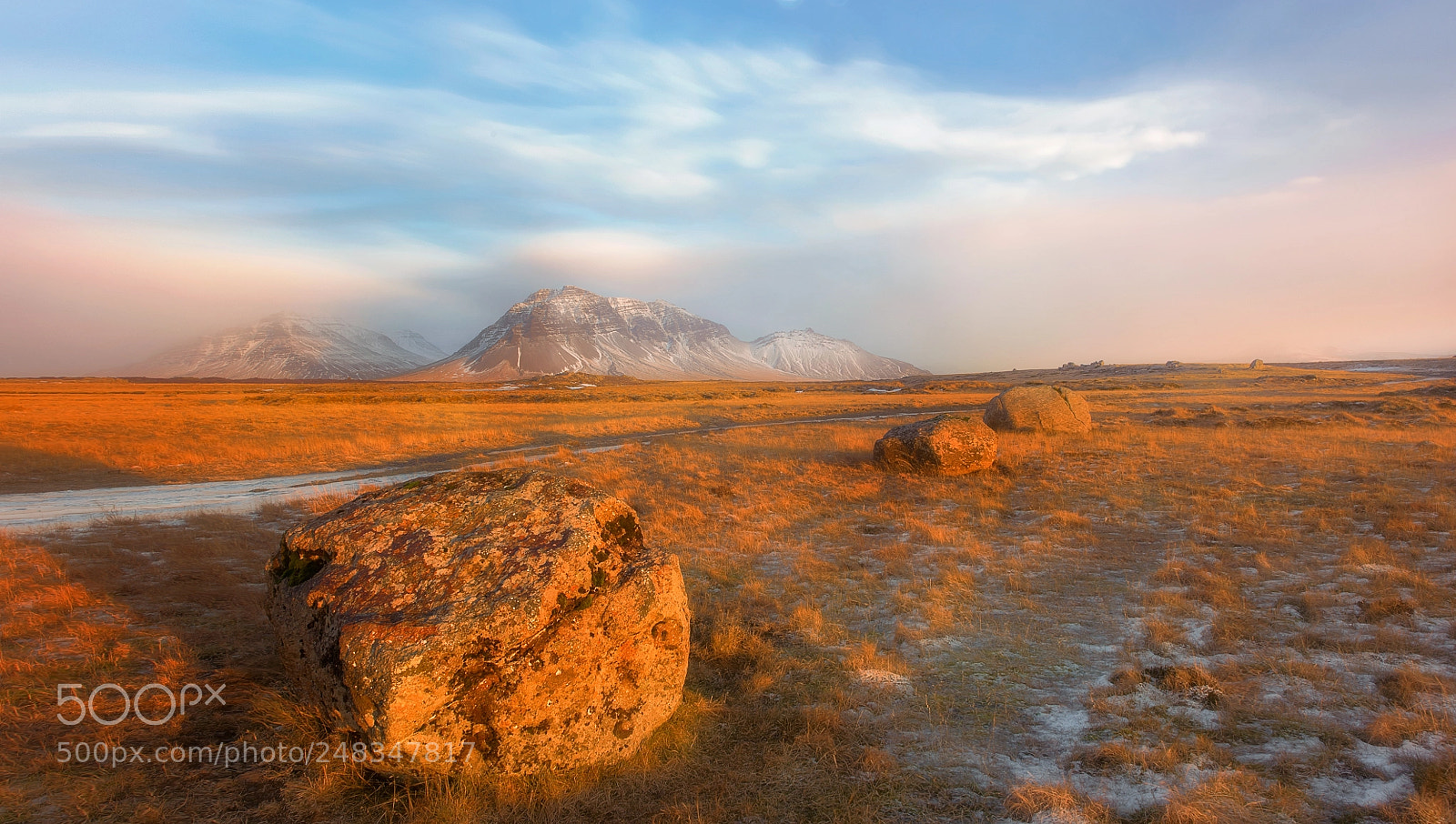 Nikon D810 sample photo. Morning light photography