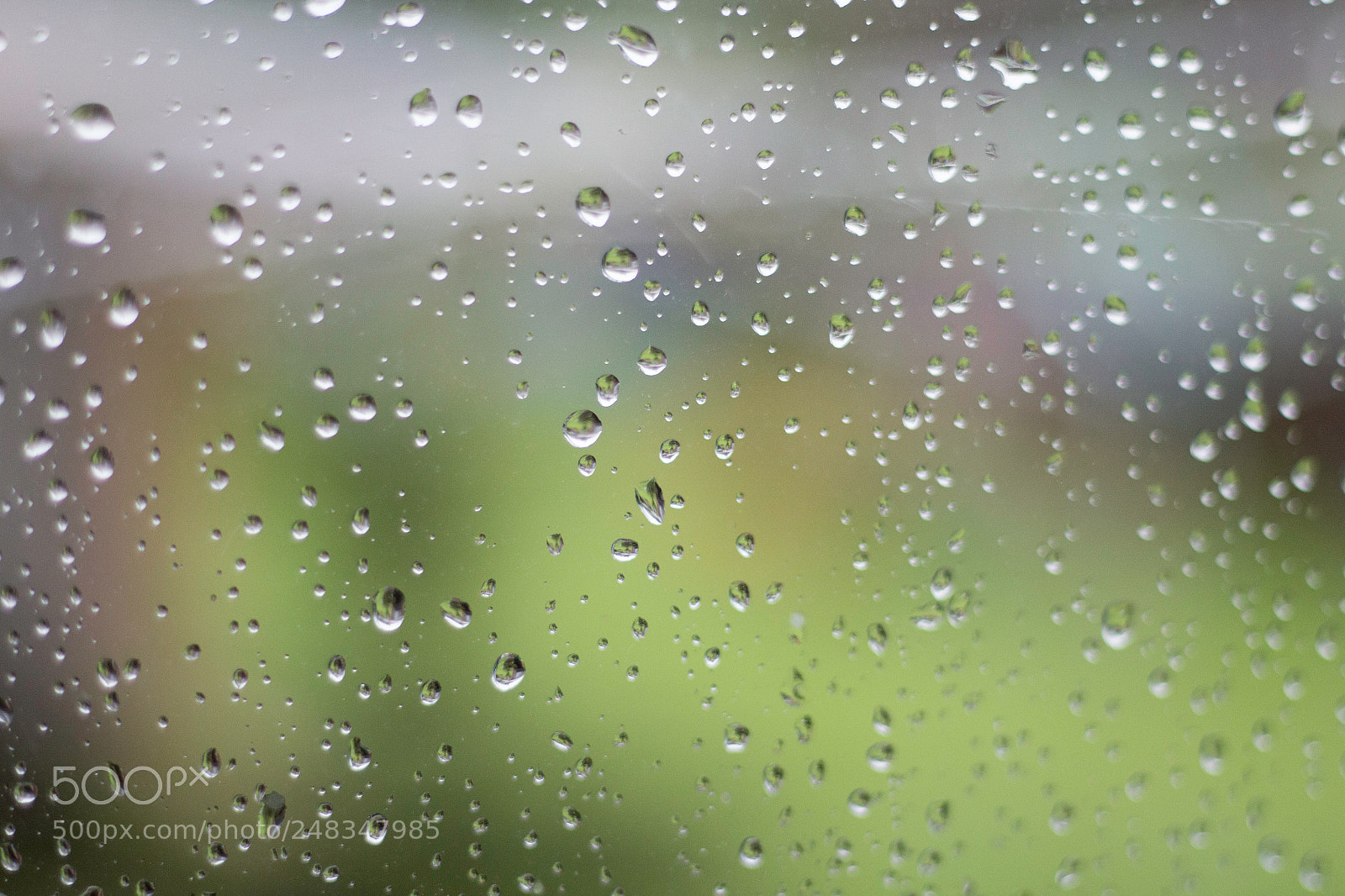 Canon EOS 700D (EOS Rebel T5i / EOS Kiss X7i) sample photo. Img photography