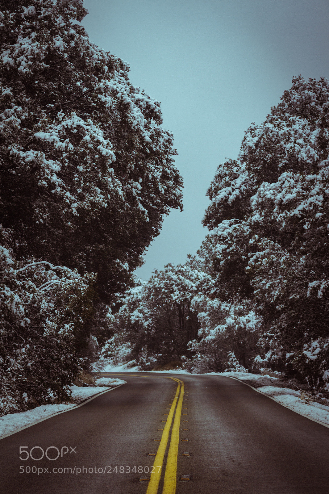 Canon EOS 7D sample photo. Narnia photography