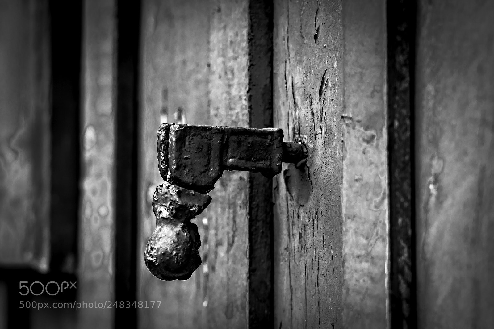 Nikon D500 sample photo. The past in paranapiacabsa photography