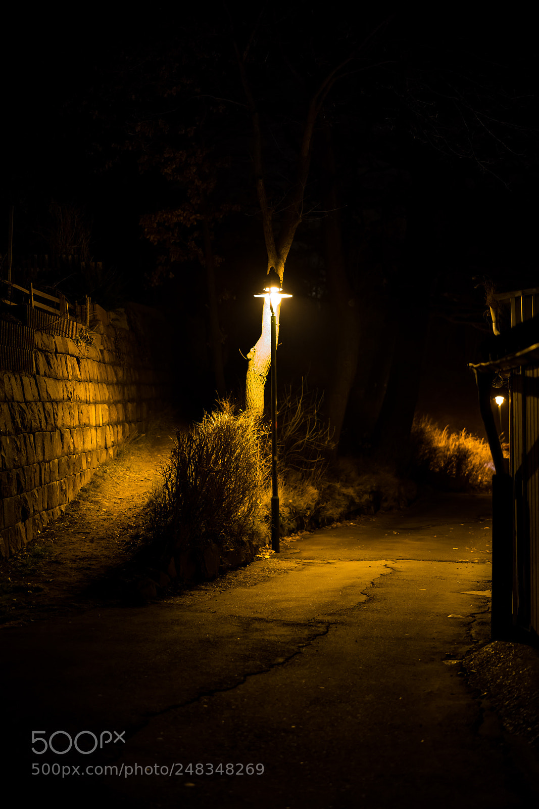 Sony a7R II sample photo. Up and down photography