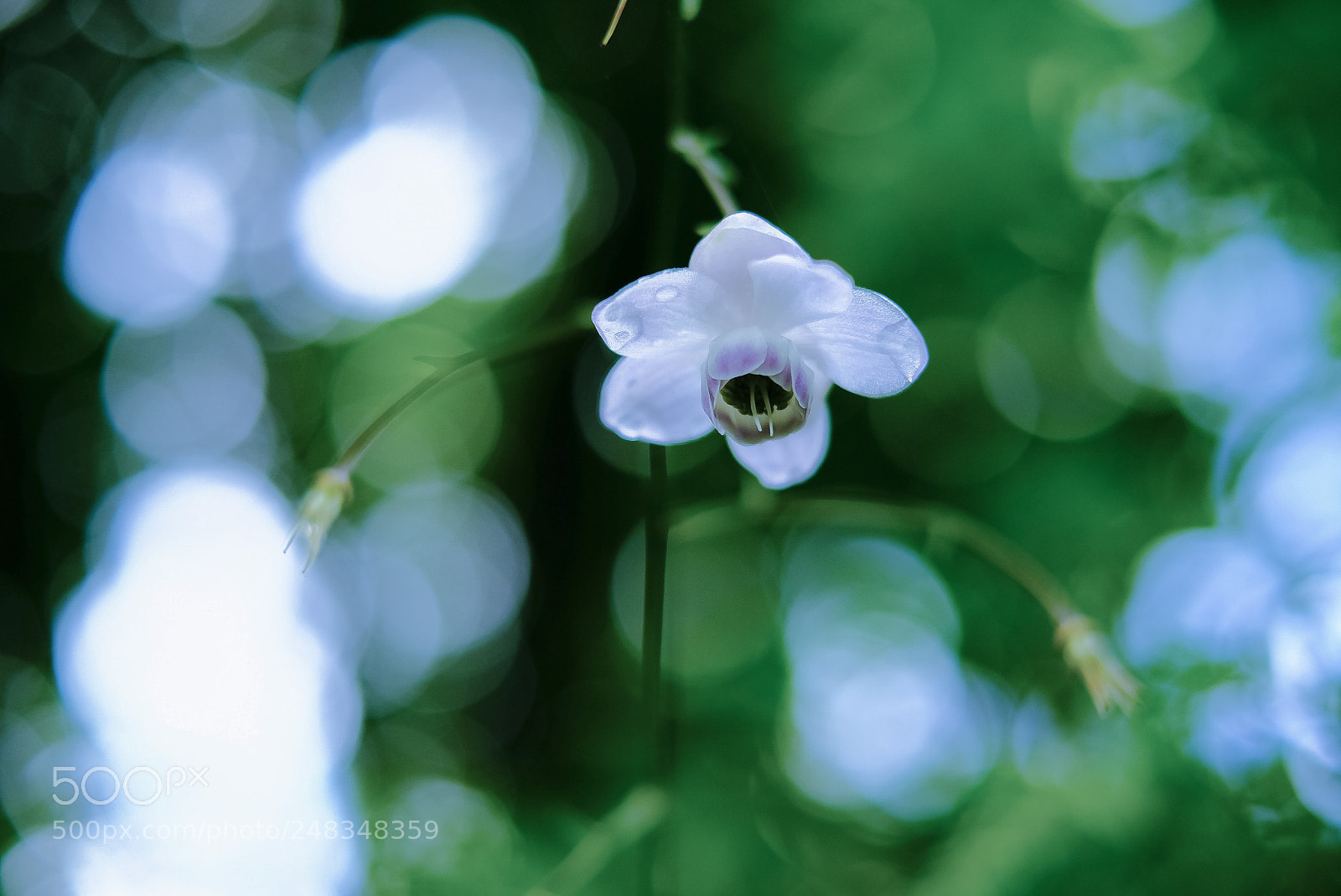 Fujifilm X-Pro2 sample photo. Untitled photography