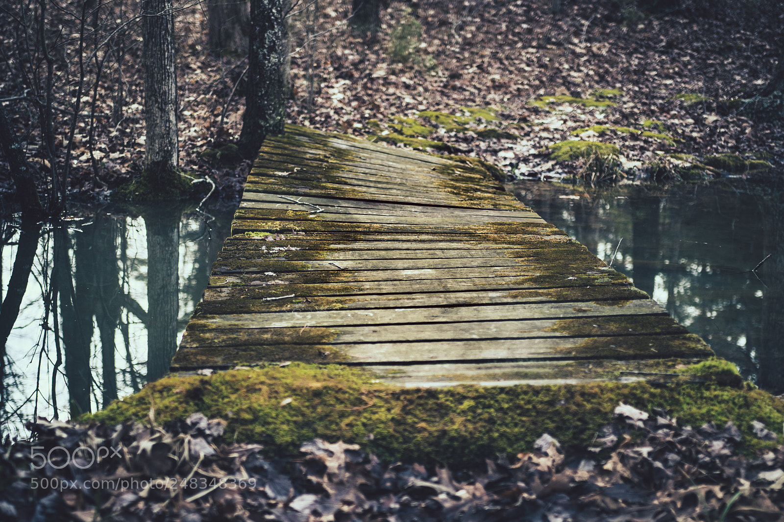 Canon EOS 77D (EOS 9000D / EOS 770D) sample photo. The little old bridge photography