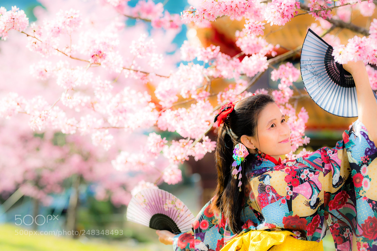 Nikon D850 sample photo. Untitled photography
