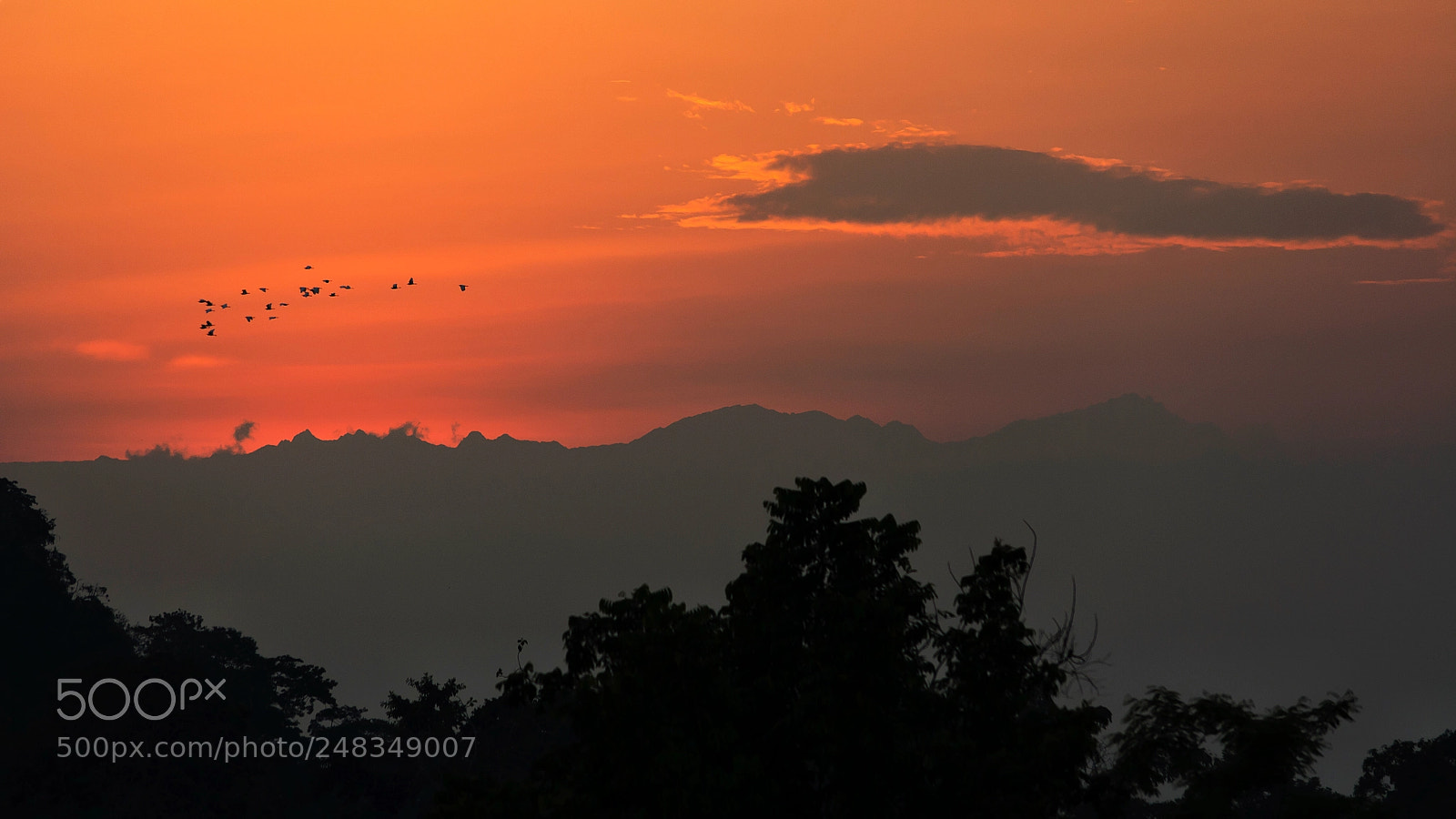 Nikon D7100 sample photo. Rush photography