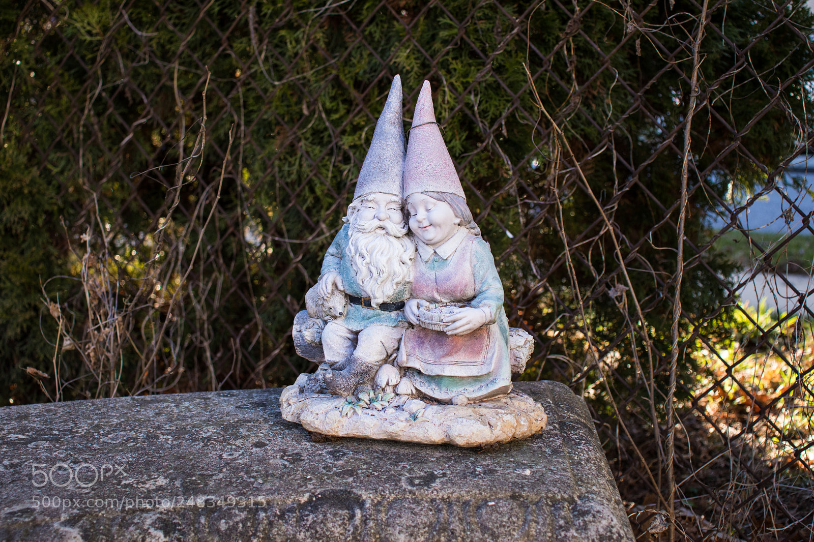 Canon EOS 77D (EOS 9000D / EOS 770D) sample photo. Gnomes on a stone photography