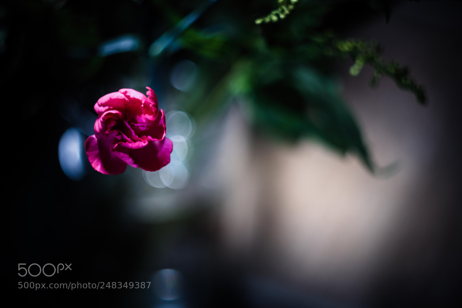 Canon EOS M6 sample photo. ... photography