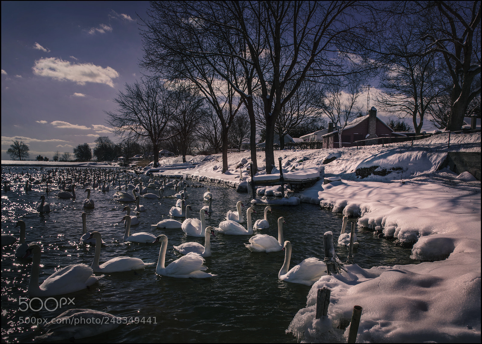 Nikon D810 sample photo. Mills creek photography
