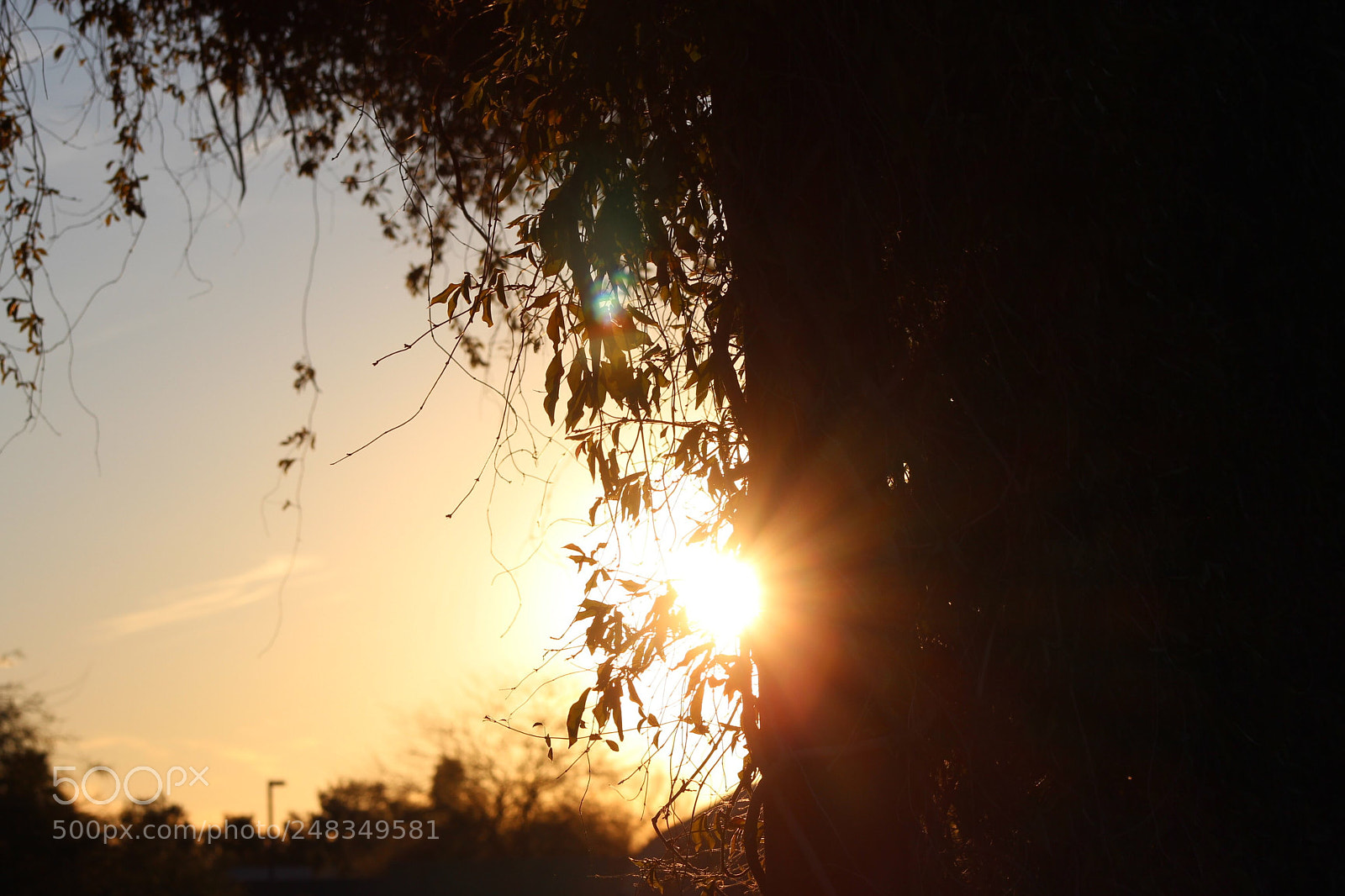 Canon EOS 600D (Rebel EOS T3i / EOS Kiss X5) sample photo. Edge photography