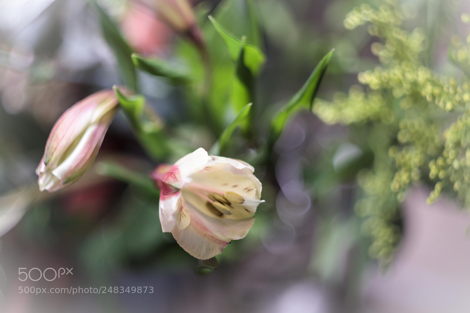 Canon EOS M6 sample photo. ... photography