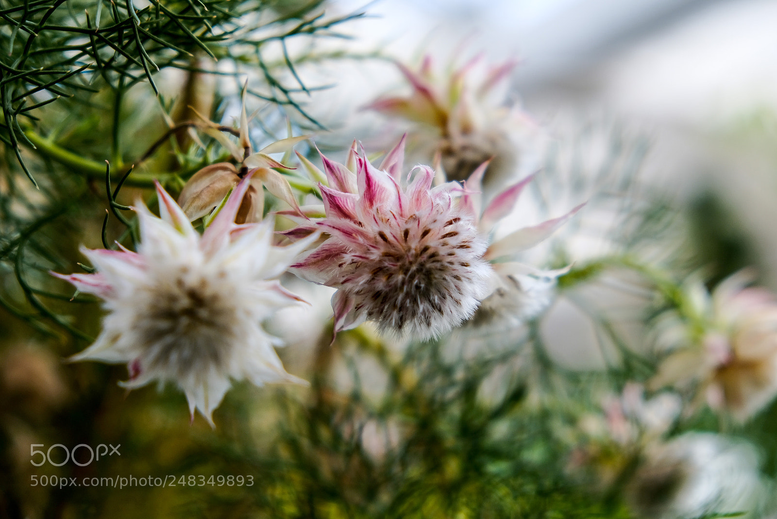 Fujifilm X-T20 sample photo. Untitled photography