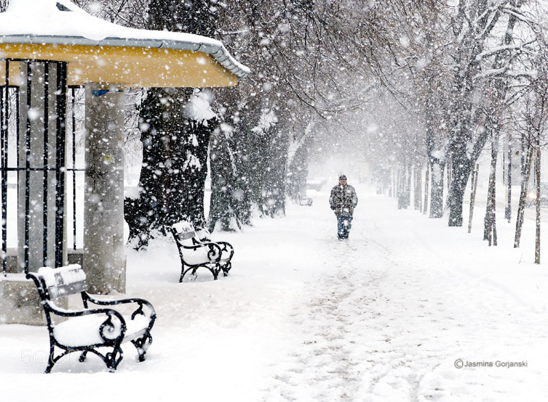 Olympus OM-D E-M1 Mark II sample photo. Blizzard on the boulevard photography