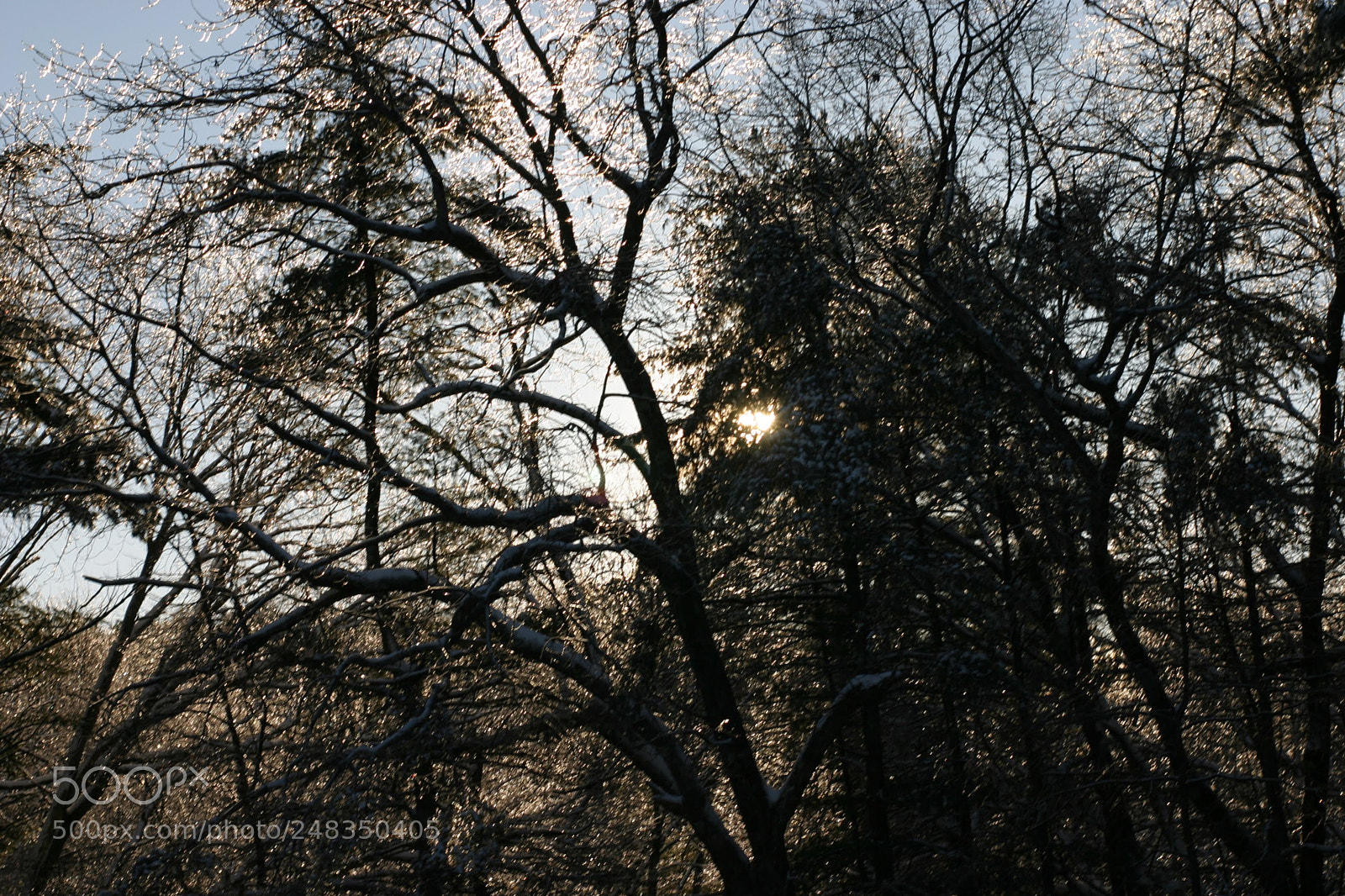 Canon EOS 10D sample photo. Img photography