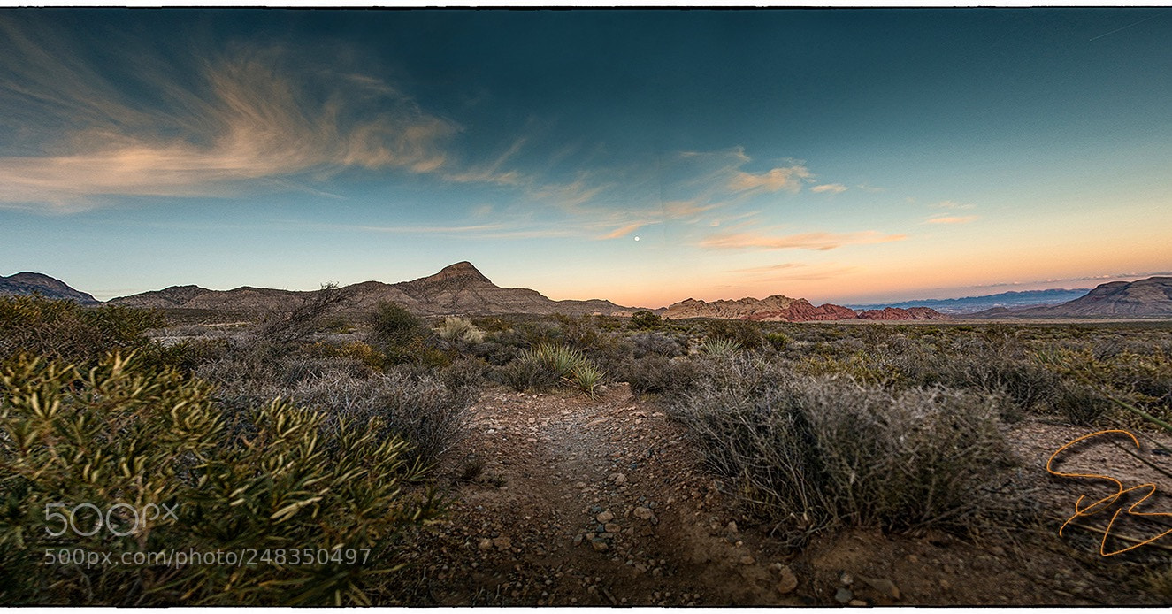 Nikon D800 sample photo. Moonrise over red rock photography