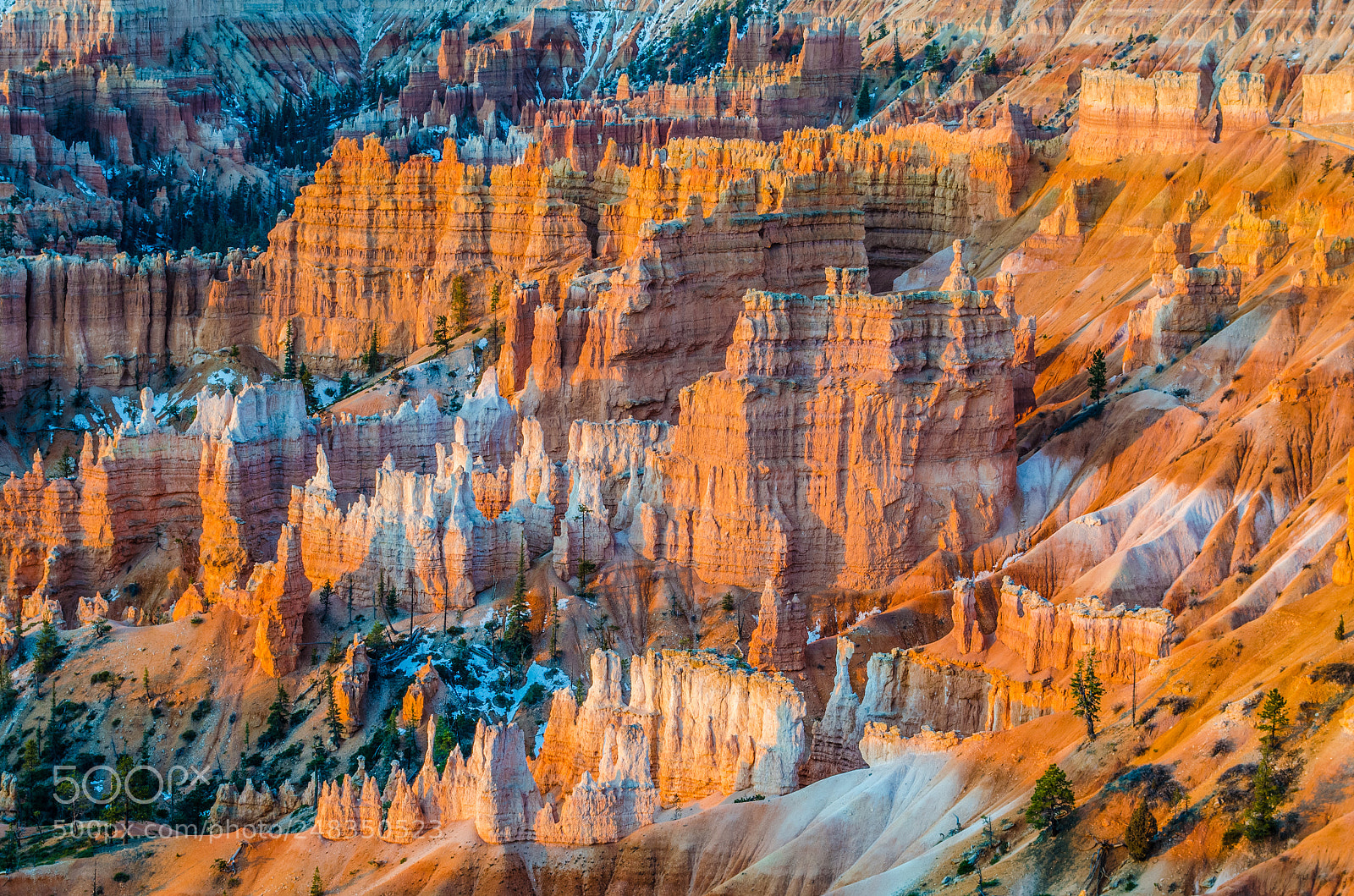 Nikon D5100 sample photo. Golden hour in bryce photography