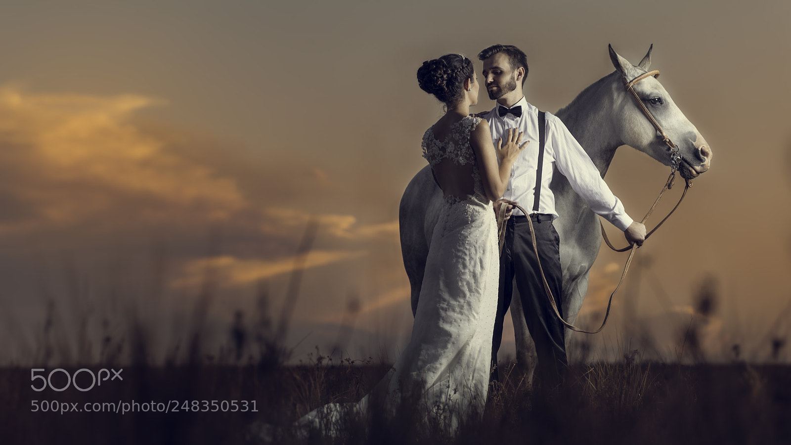 Nikon D610 sample photo. The horse creator of photography