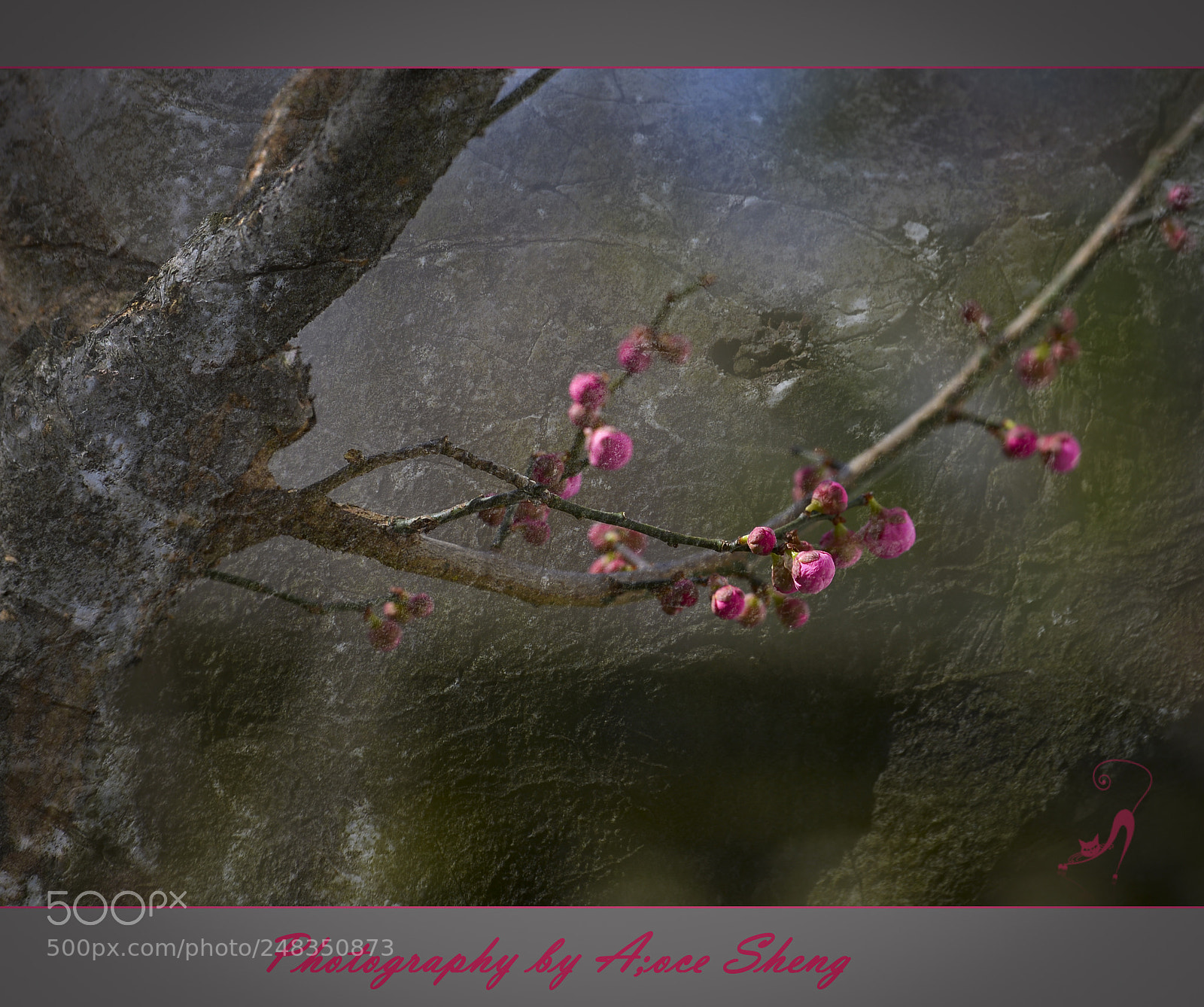 Nikon D600 sample photo. Bb photography