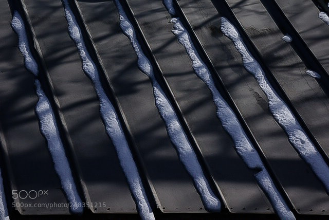 Sony Alpha NEX-6 sample photo. 52 weeks | week 9 | shadows photography