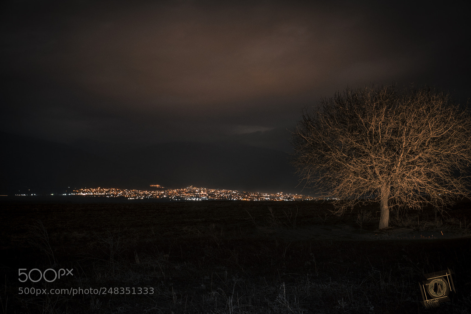 Nikon D810 sample photo. Luminous tree photography
