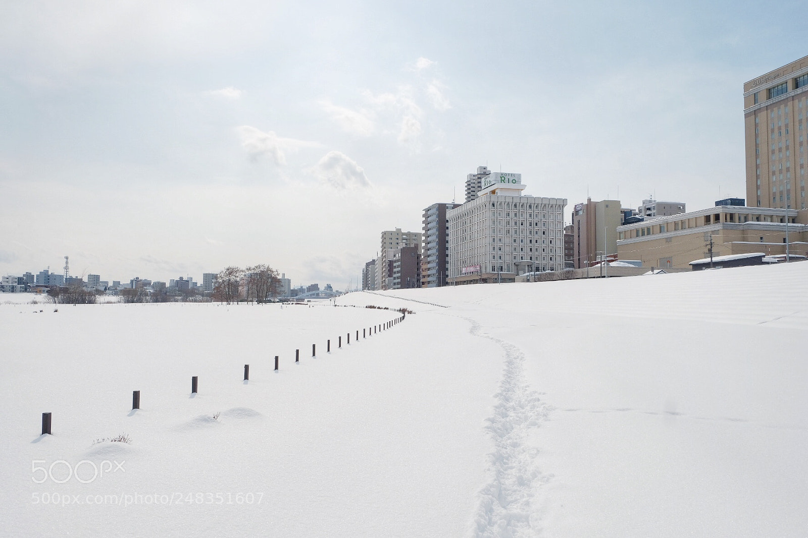 Fujifilm X-T2 sample photo. Untitled photography