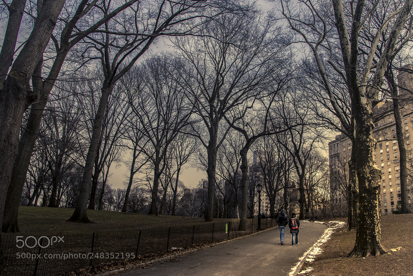 Nikon D610 sample photo. Walking in the central photography