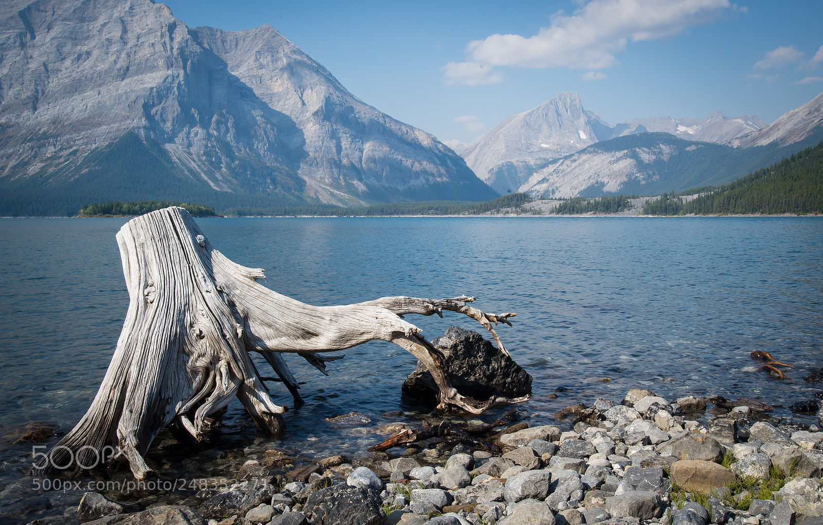 Nikon D610 sample photo. Serene photography