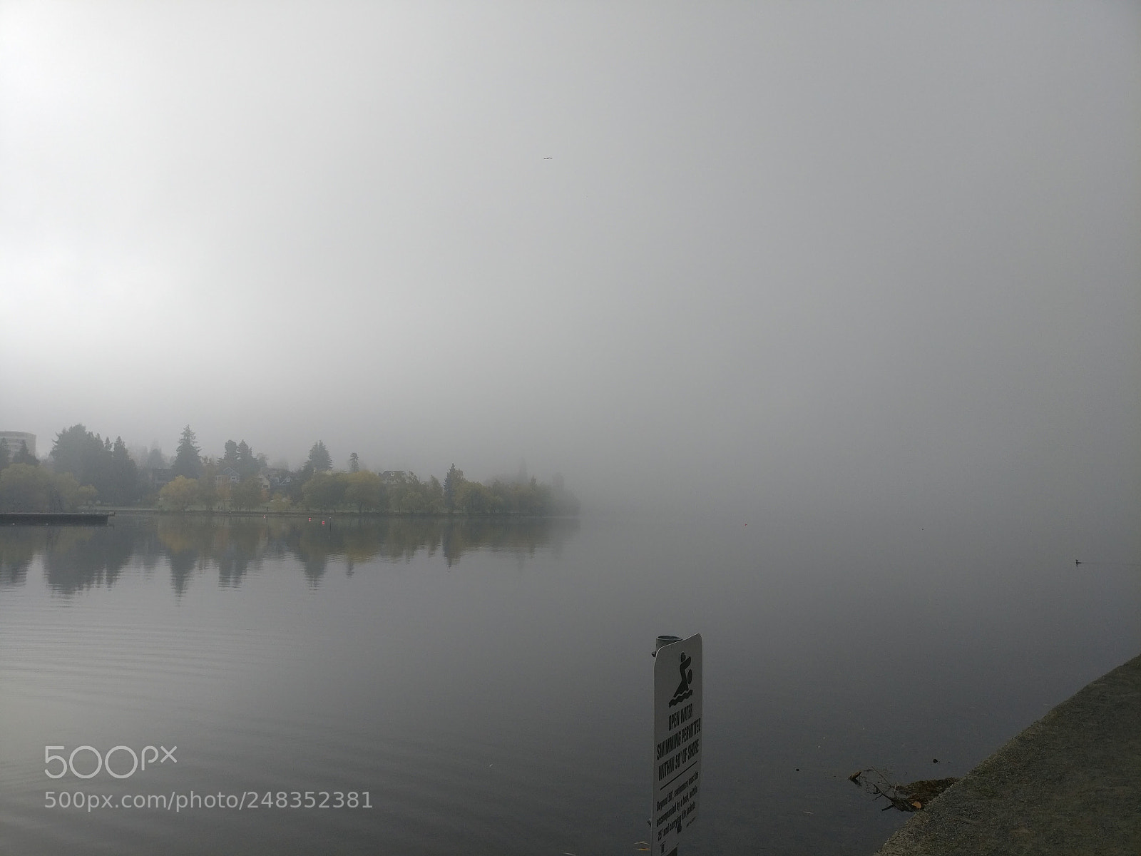 OnePlus A3000 sample photo. Fog on green lake photography