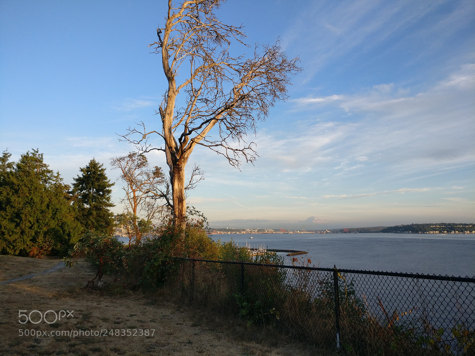 OnePlus A3000 sample photo. Sunsets photography