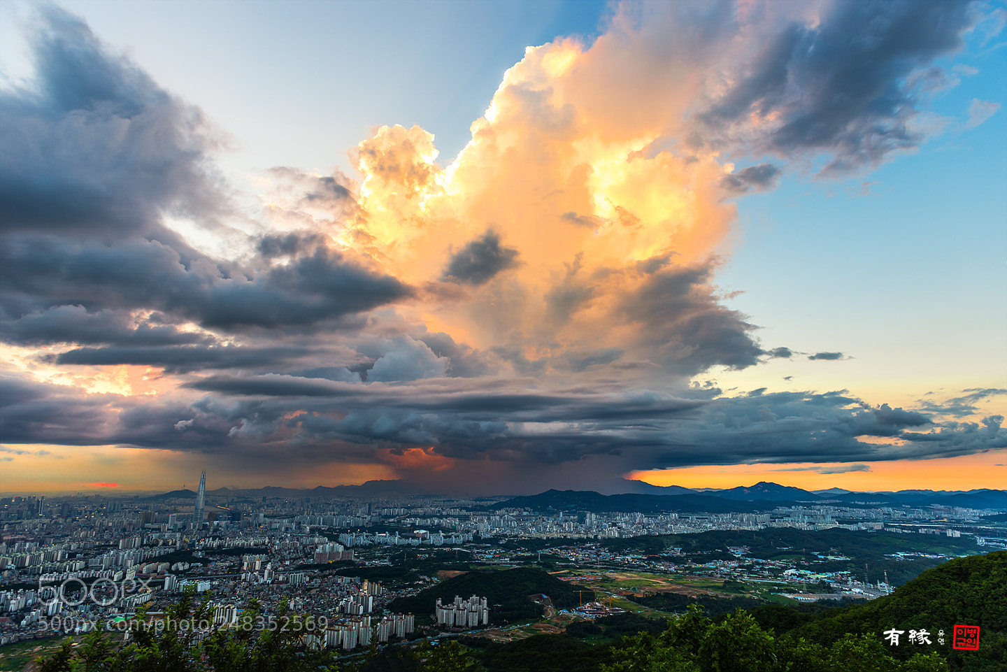 Nikon D810 sample photo. . photography