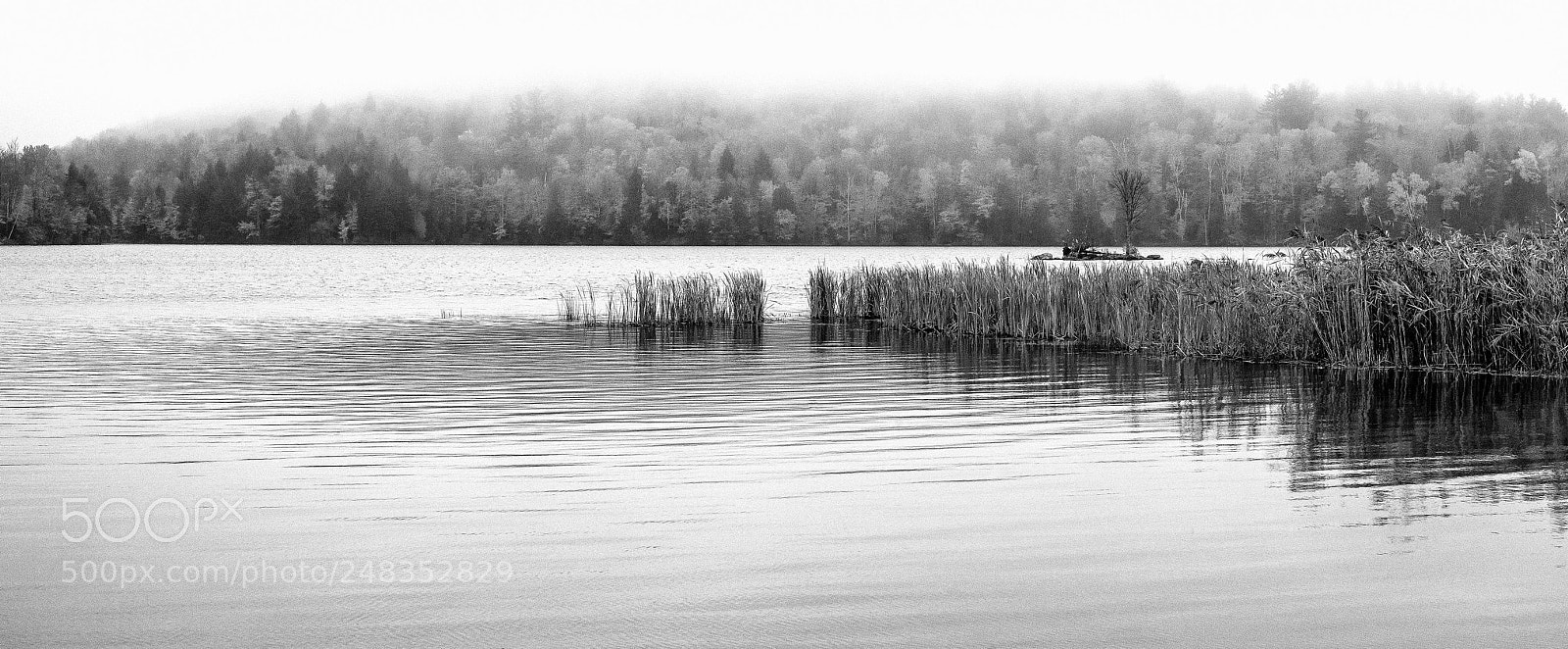 Nikon D800 sample photo. Untitled photography