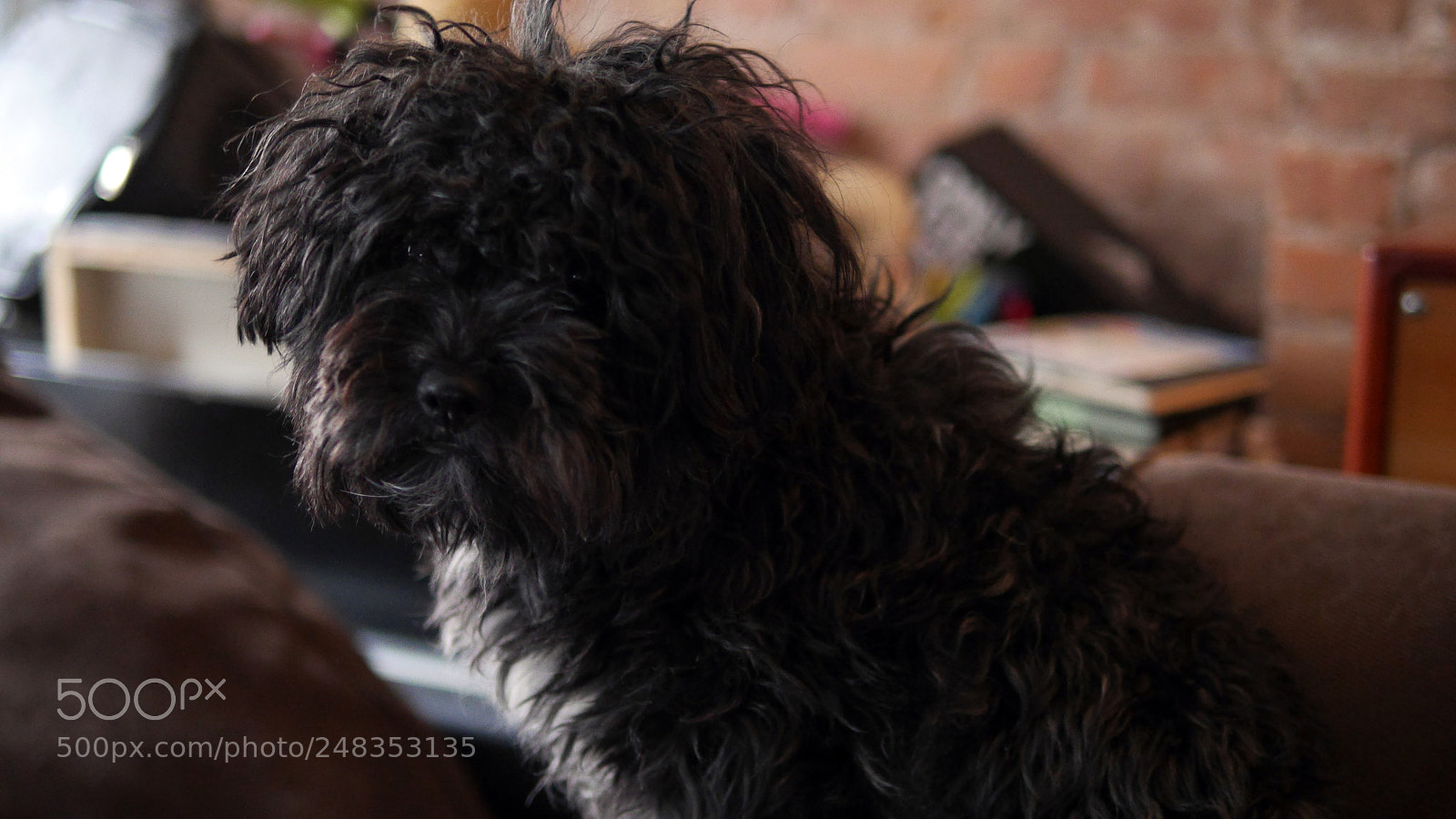 Panasonic Lumix DMC-GH3 sample photo. Rosabell photography
