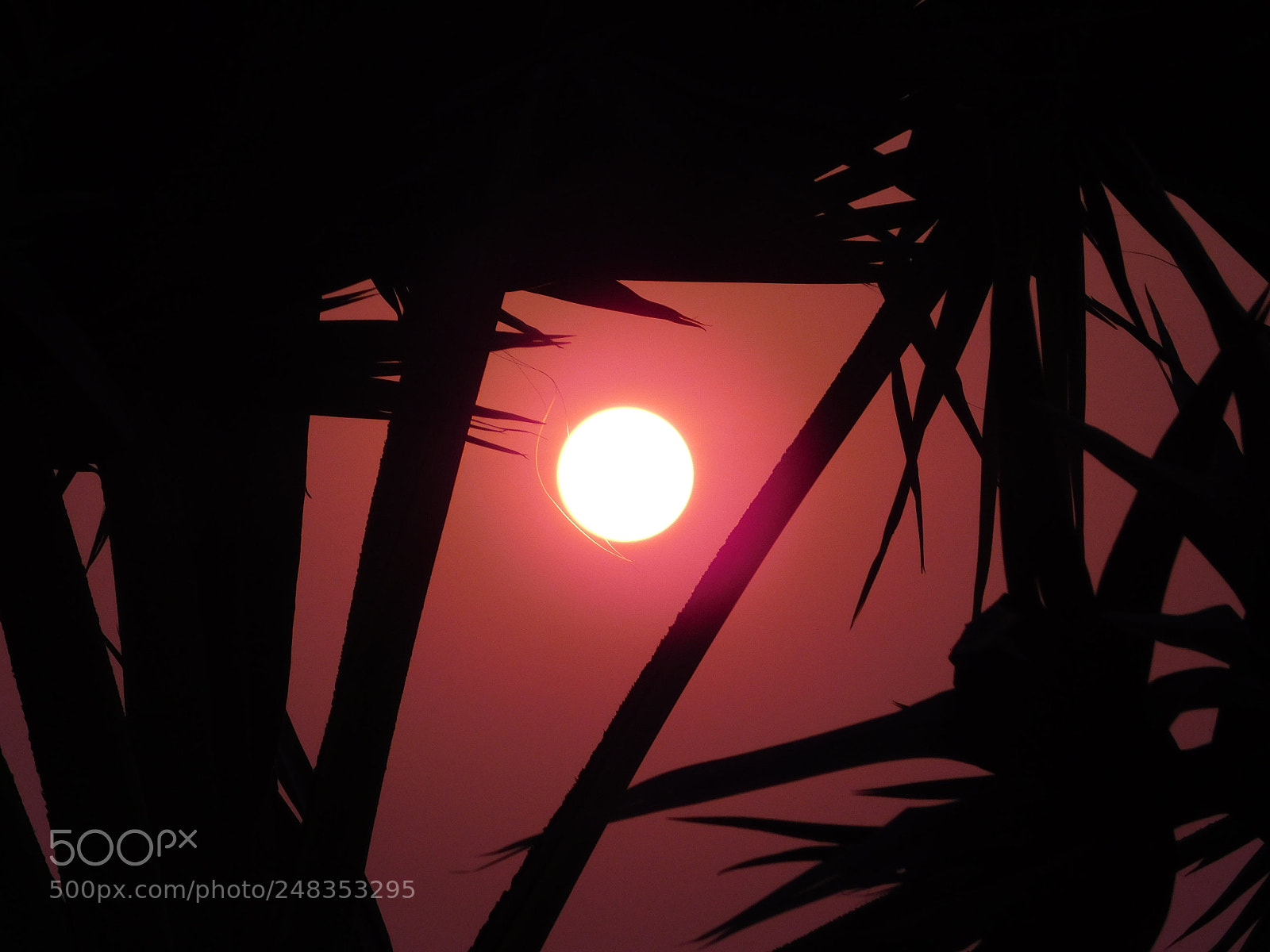 Nikon Coolpix L840 sample photo. Orange sky photography