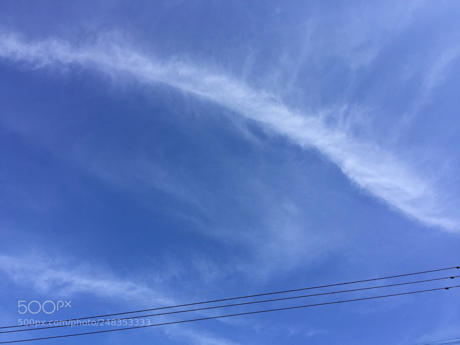 Apple iPhone 6 Plus sample photo. Dragon photography
