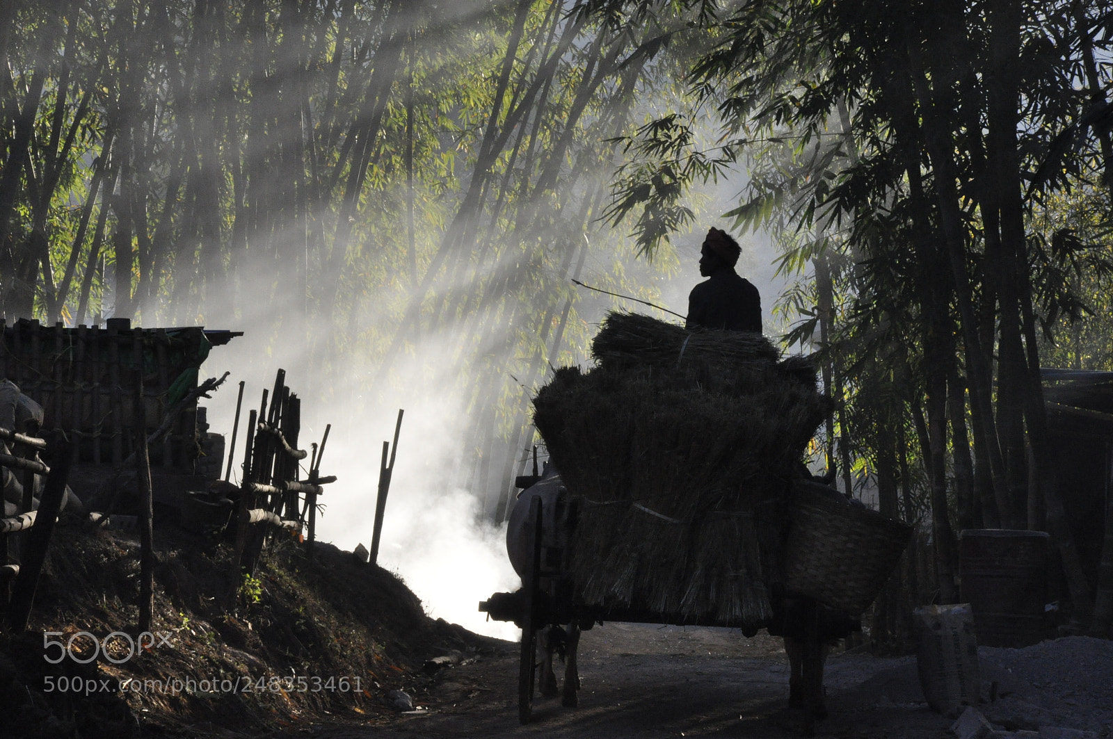 Nikon D90 sample photo. Shan state,myanmar photography