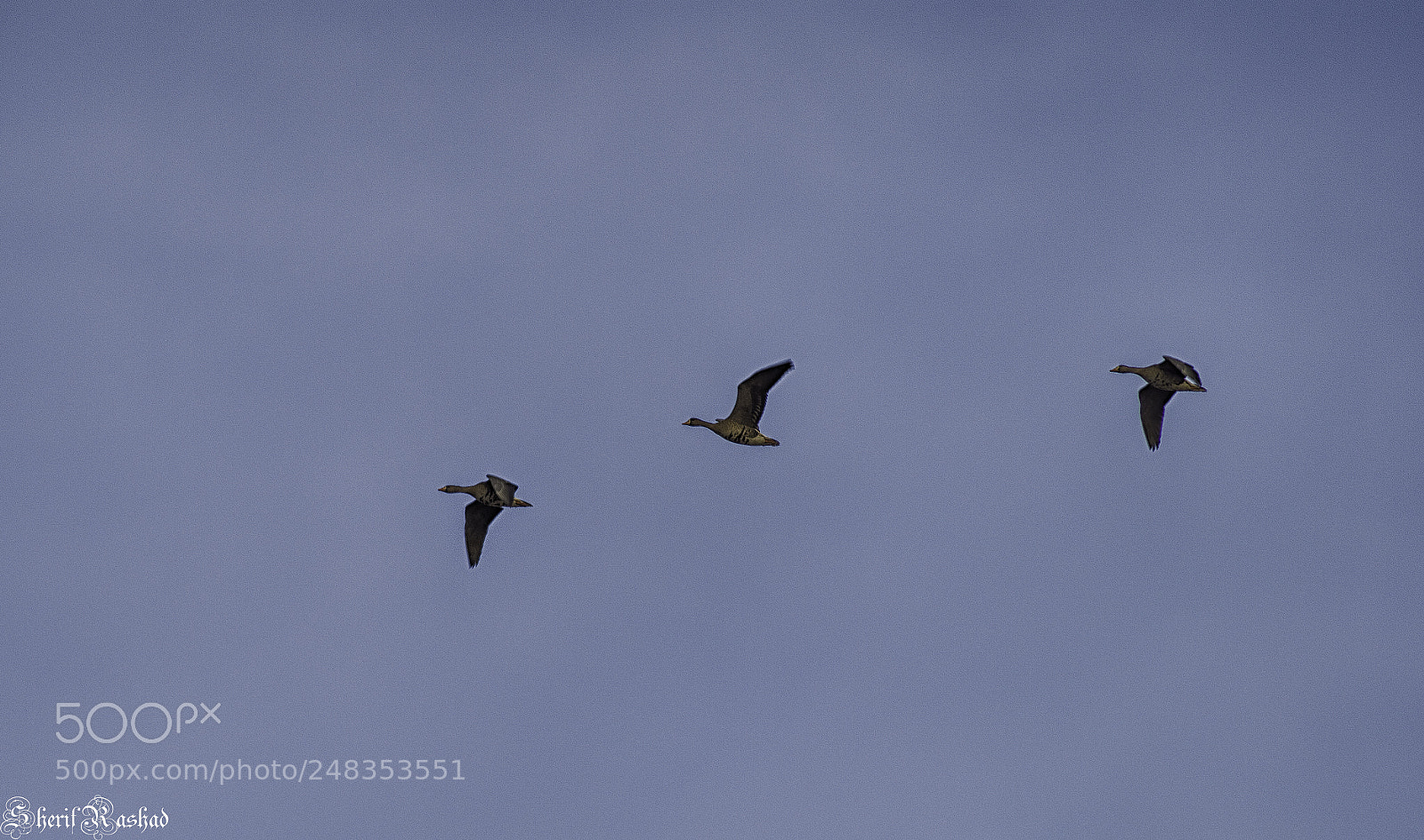 Pentax K-50 sample photo. Three photography