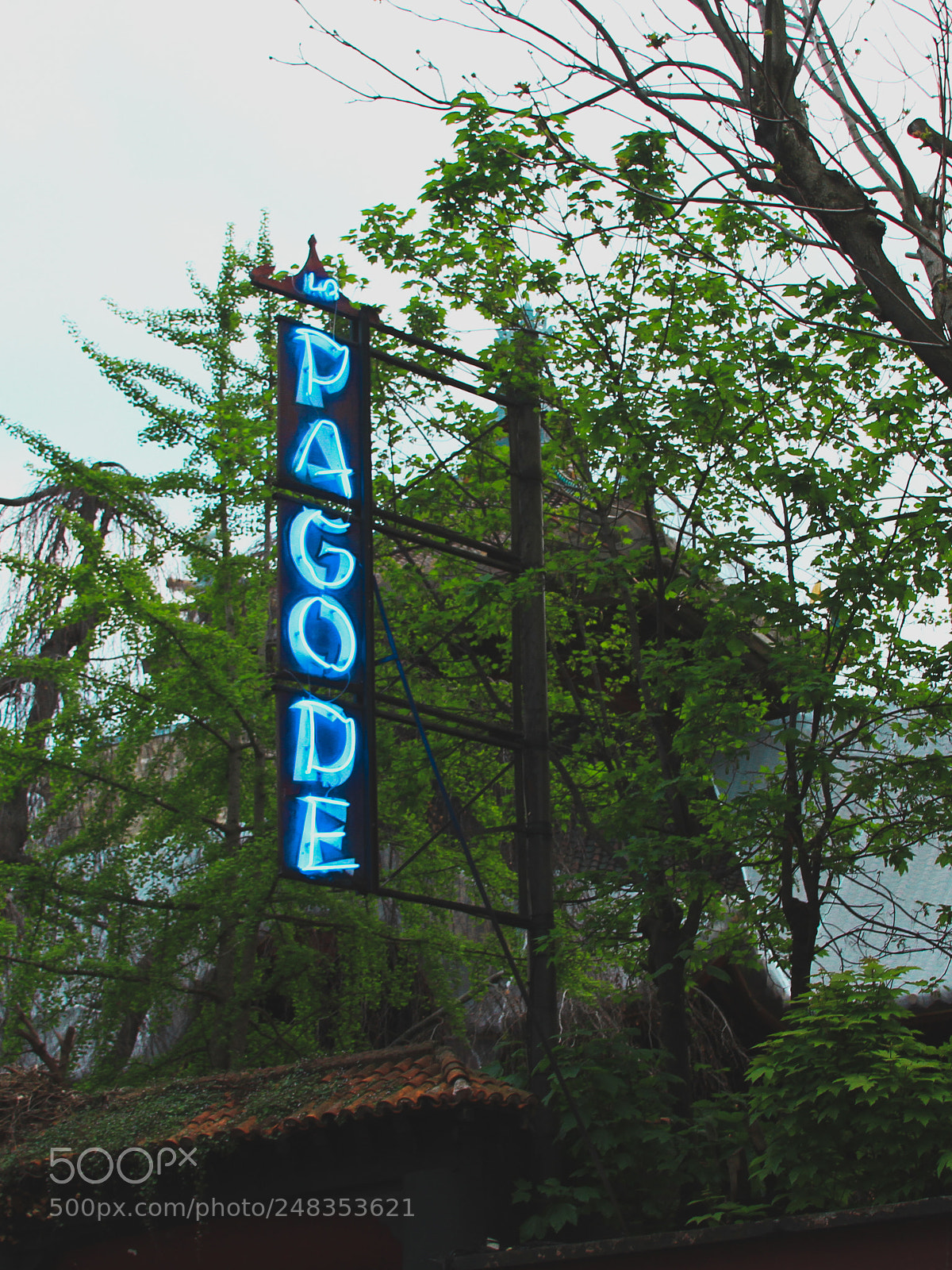 Canon EOS 7D sample photo. Img photography