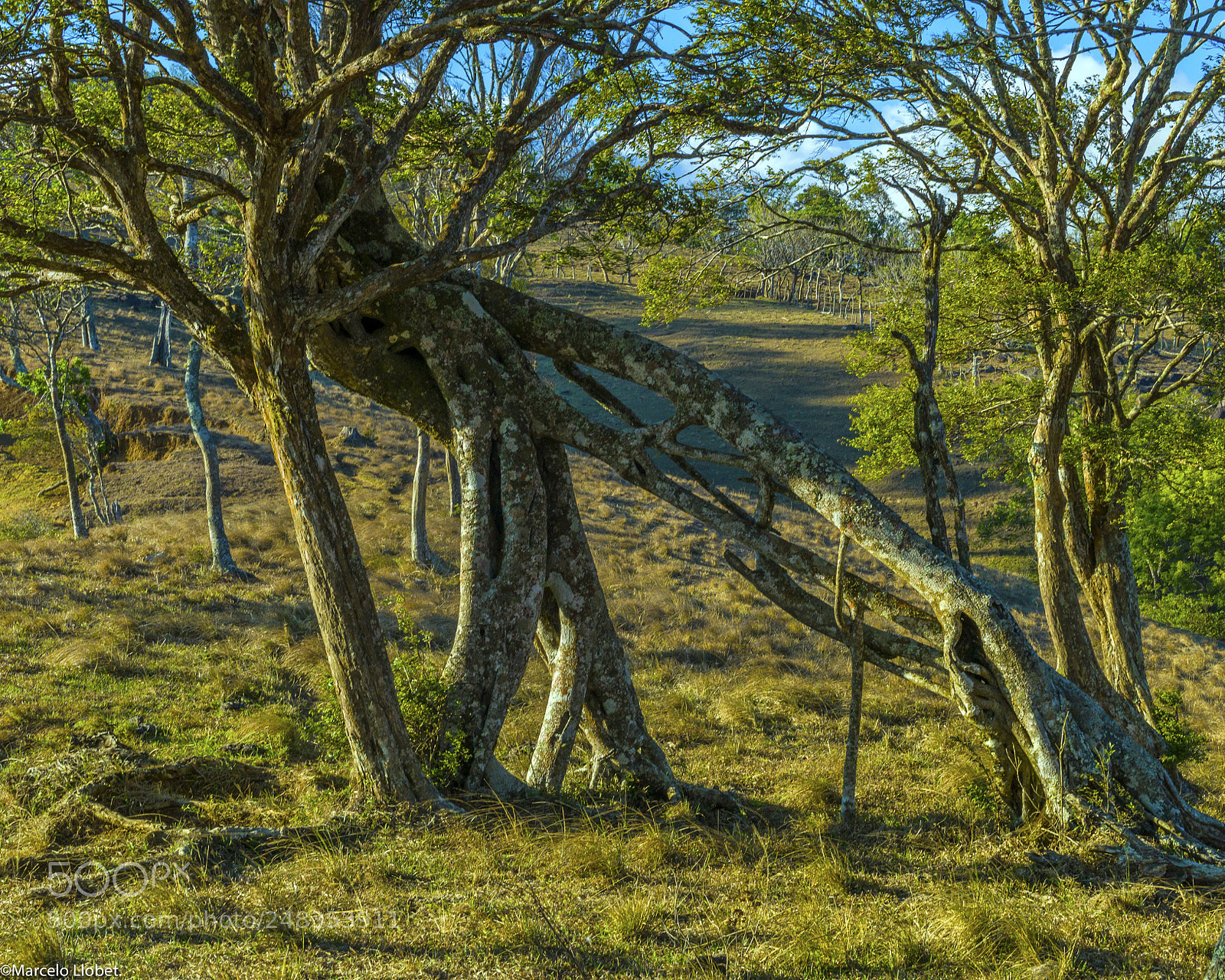 Leica M9 sample photo. Piedades sur de san photography