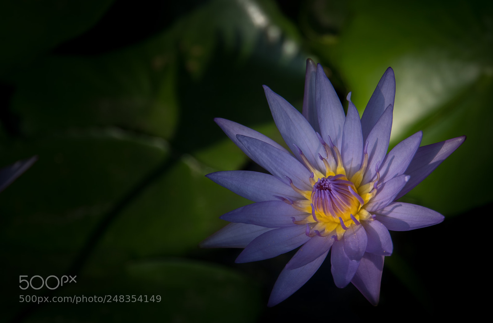 Sony a6300 sample photo. K langley photography