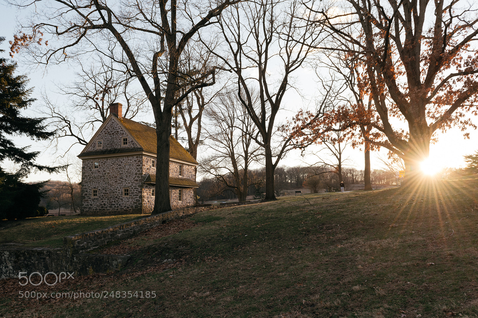 Nikon D850 sample photo. 63/365 photography